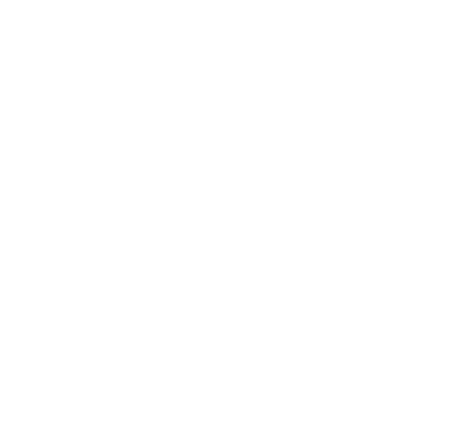 CyRAC Globe